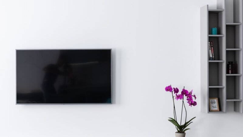 modern tv near blooming flowers and shelves in lounge